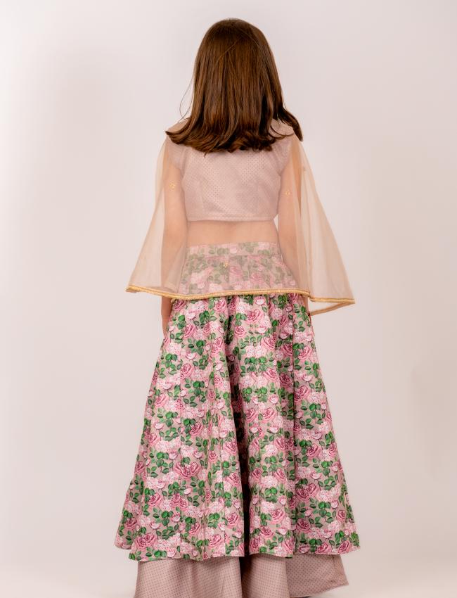 Mocha Brown Lehenga Kids