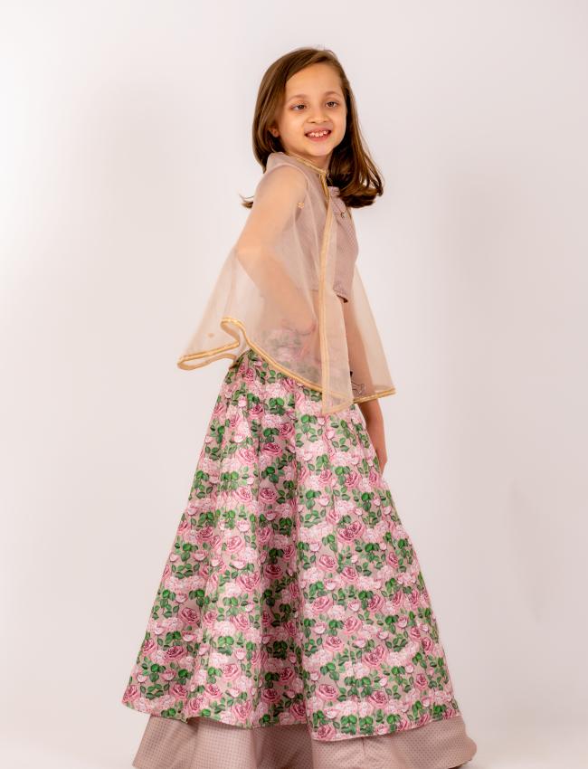 Mocha Brown Lehenga Kids